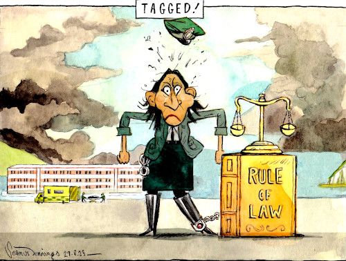 Braverman cartoon