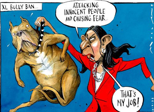 Dangerous dog cartoon