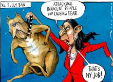 Dangerous dog cartoon