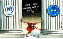 Braverman refugee cartoon