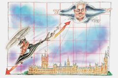 Polls cartoon