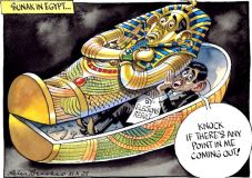 Sunak by election cartoon