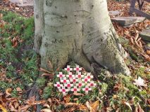 Ghyll under the tree