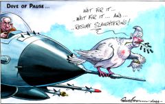 Gaza pause cartoon