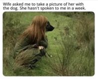 Dog and wife photo