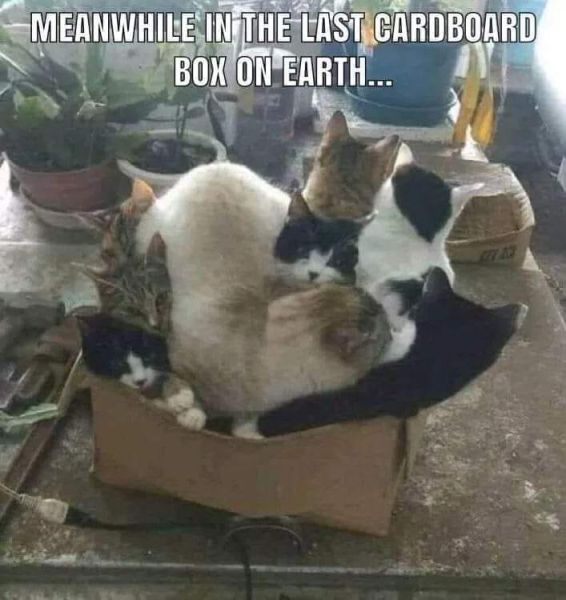 last_box