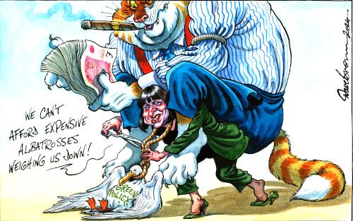 Fat cat cartoon