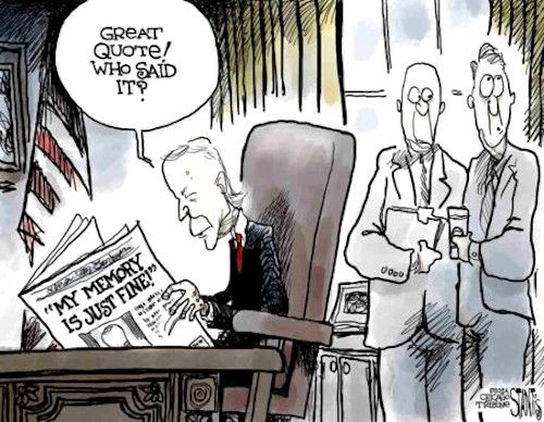 Biden memory cartoon