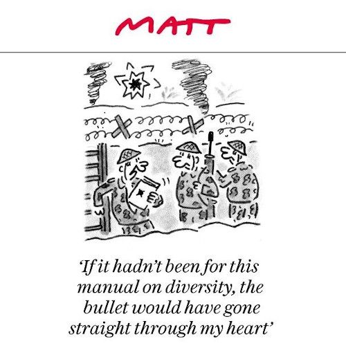 Matt diversity cartoon