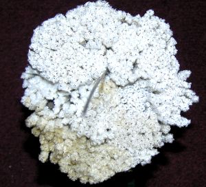 Mystery object 2528