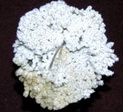 Mystery object 2528