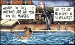 Sunak pool cartoon