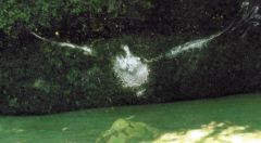 Mystery object 2543