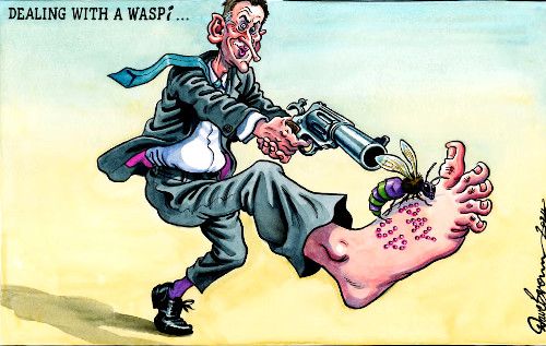 WASPI cartoon