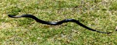 Mystery object 2557