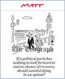 Matt election cartoon