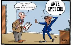 Poll cartoon