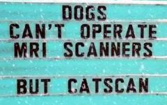 Catscan notice