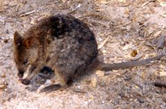 Mystery object 2574