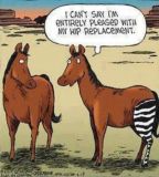 horse