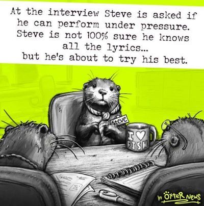 steve