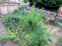 Front Garden 040624