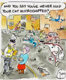 Cat cartoon