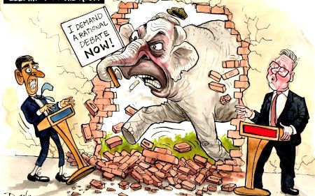 Election cartoon 24