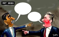 Election cartoon 33