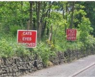 cats_eyes