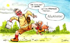 Election cartoon 39