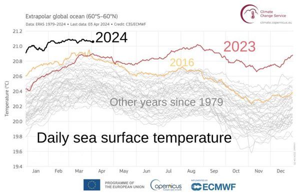 sea_surface_temperatures