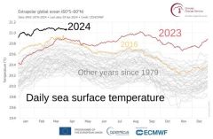 sea_surface_temperatures