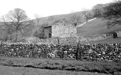 Dalesoutbarn832901
