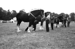 SuttonColdfieldshow764528