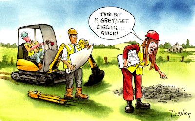 Grey belt cartoon