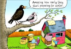 Insulation cartoon