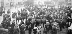 Horses requisitioned WW1