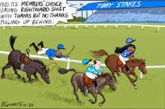 leadership cartoon