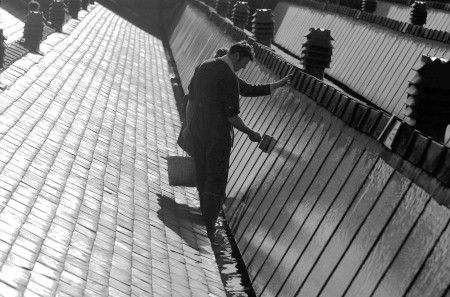 RoyWellockshedroof7710005