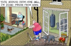 Early release cartoon