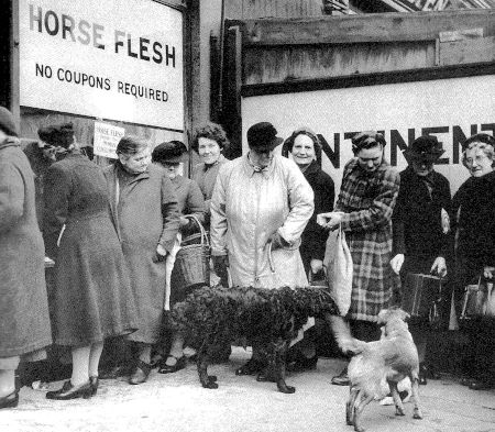Horsemeat shop WW2