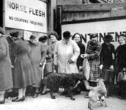 Horsemeat shop WW2