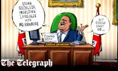 US election cartoon 04