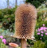 Mystery object 2674