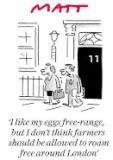 Matt farmer cartoon
