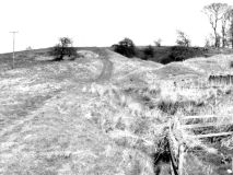 HallLane06
