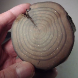 Tizers mystery object 101124
