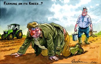 Farming Cartoon