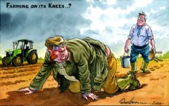 Farming Cartoon